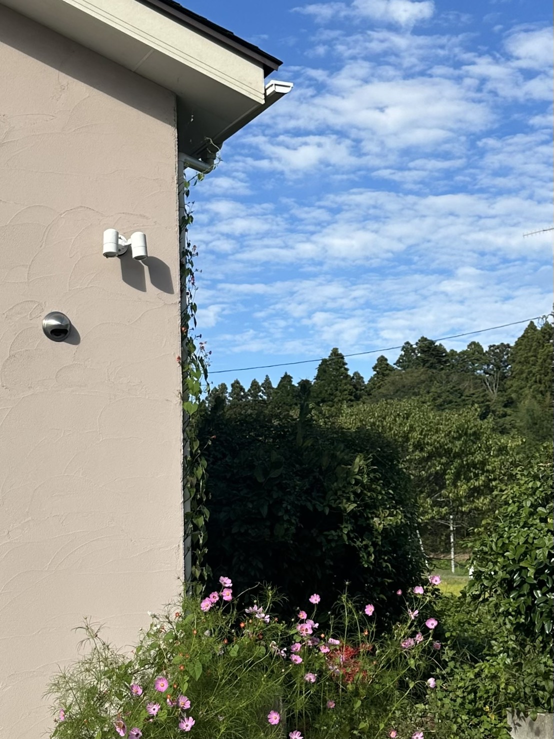 7N459kEF9JREnR81maM1Pa77TDq48S6IdGnX_hmQ2XSSbkXVUrTpwiXo2FoFn4HPoaOUMYPp5oYAgjrmsWokMvdpxTcHckCemnvCBwVUCiNyJ03tX_of2YhLMD4j61NGQ0mGTKiMiK02azDH-NEk1Q==